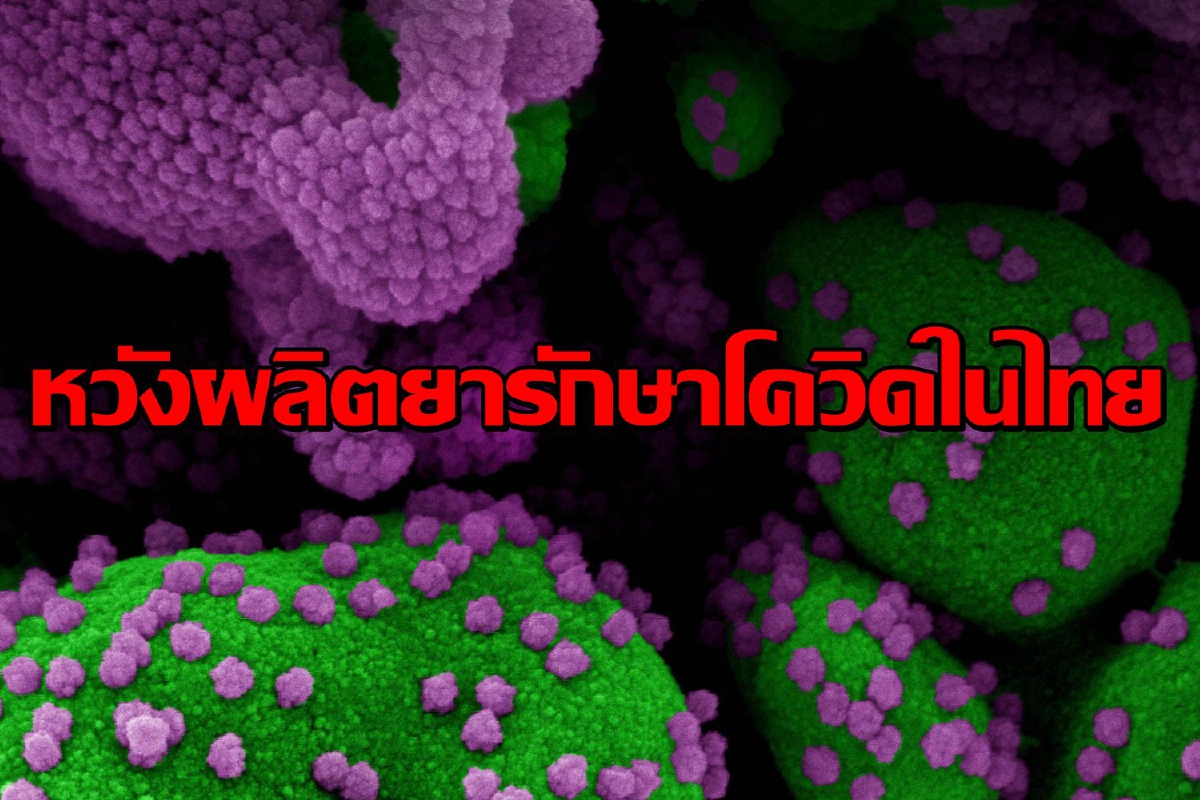 ไทยเร่งเจรจาสิทธิบัตร "ฟาวิพิราเวียร์" หวังผลิตในประเทศ ไทยเร่งเจรจาสิทธิบัตร "ฟาวิพิราเวียร์" หวังผลิตในประเทศ