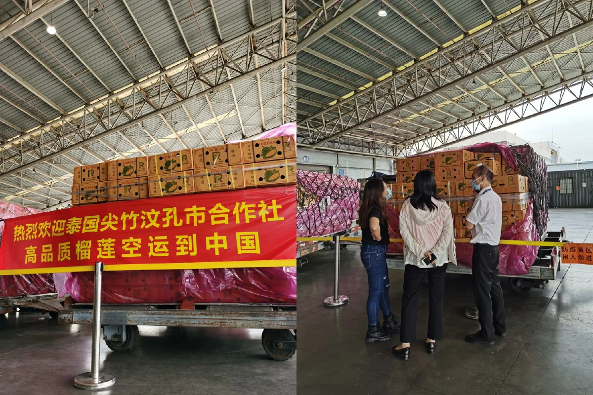 เกษตรฯเผยจีนแห่ซื้อทุเรียนไทย 20 ตันหมดในไม่กี่ชั่วโมง