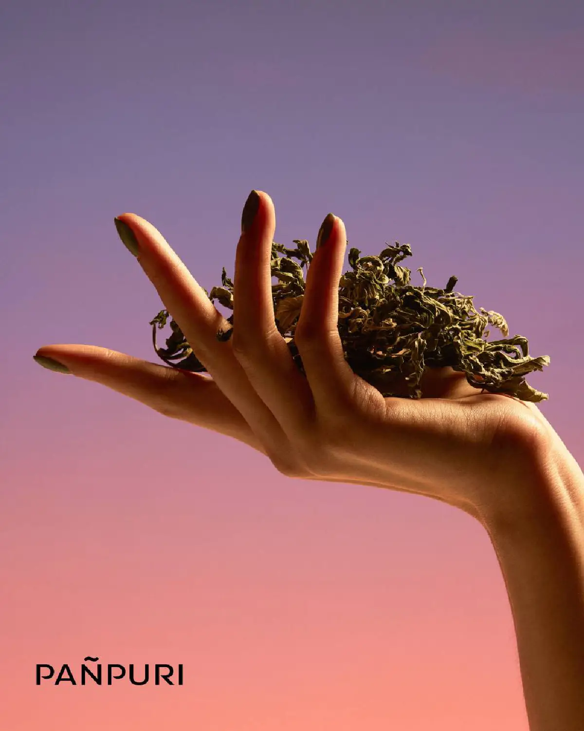 ปัญญ์ปุริ คอลเลคชั่นใหม่ 'Voyage of Curiosities Haze of Grass' เครื่องหอมที่ได้รับแรงบันดาลใจจากกลิ่นของกัญชา