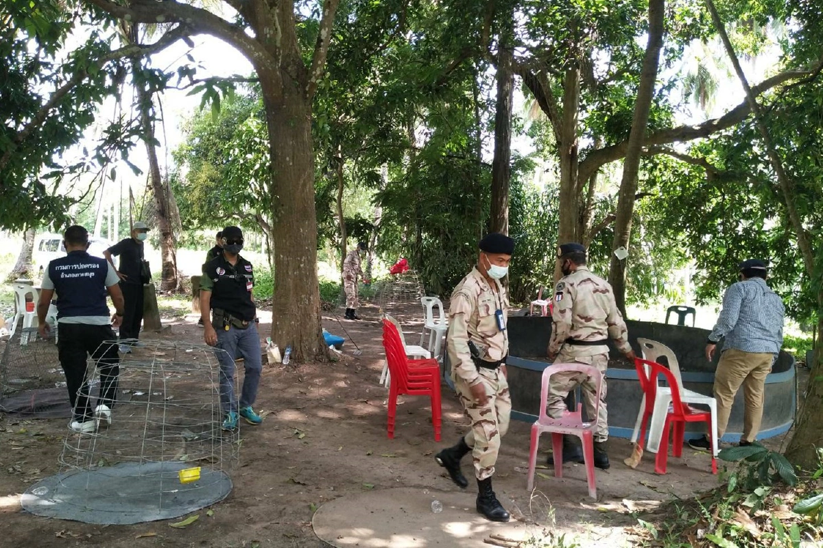 ผู้ว่าฯสั่งดำเนินคดีเด็ดขาดบ่อนพนันชนไก่เกาะสมุย