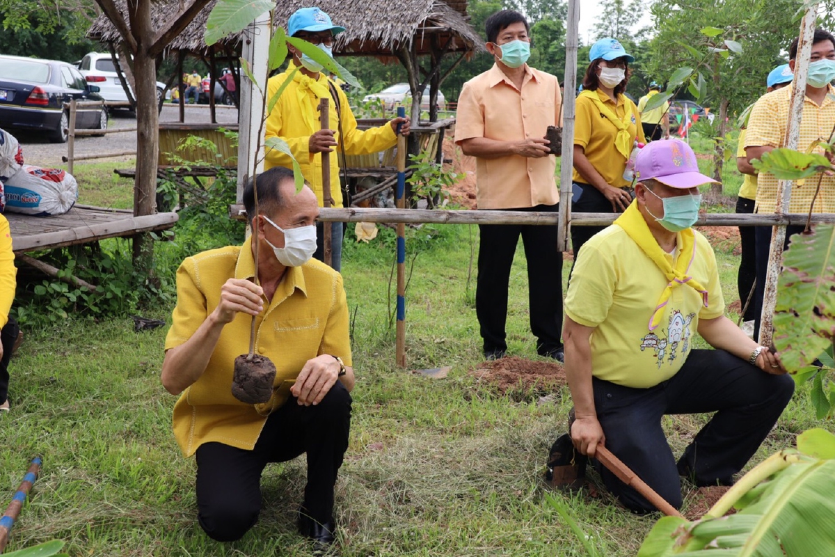 อธิบดีพช.ร่วมปลูกป่าตาลและยางนา เฉลิมพระเกียรติวันฉัตรมงคล อธิบดีพช.ร่วมปลูกป่าตาลและยางนา เฉลิมพระเกียรติวันฉัตรมงคล
