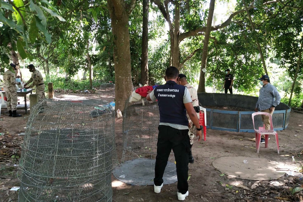 ผู้ว่าฯสั่งดำเนินคดีเด็ดขาดบ่อนพนันชนไก่เกาะสมุย