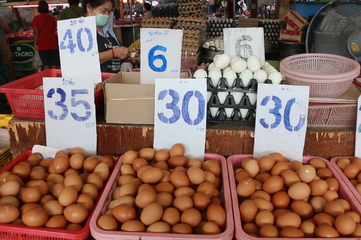 แม่ค้าครวญไข่ไก่ราคาราคาถูกต่อเนื่องพิษโควิดร.ร.ปิดเทอมนาน แม่ค้าครวญไข่ไก่ราคาราคาถูกต่อเนื่องพิษโควิดร.ร.ปิดเทอมนาน