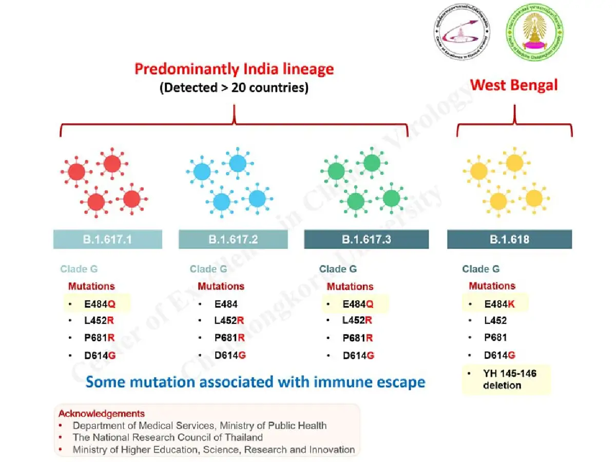 ห่วงโควิดสายพันธุ์แอฟริกาใต้ที่ระบาดในมาเลย์แพร่เข้าไทย