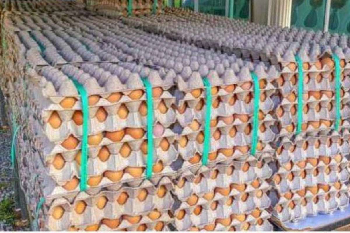 เจ้าของบริษัทใจบุญแจกไข่ไก่15,000ฟองแก้บนฝ่าวิกฤตโควิดสำเร็จ