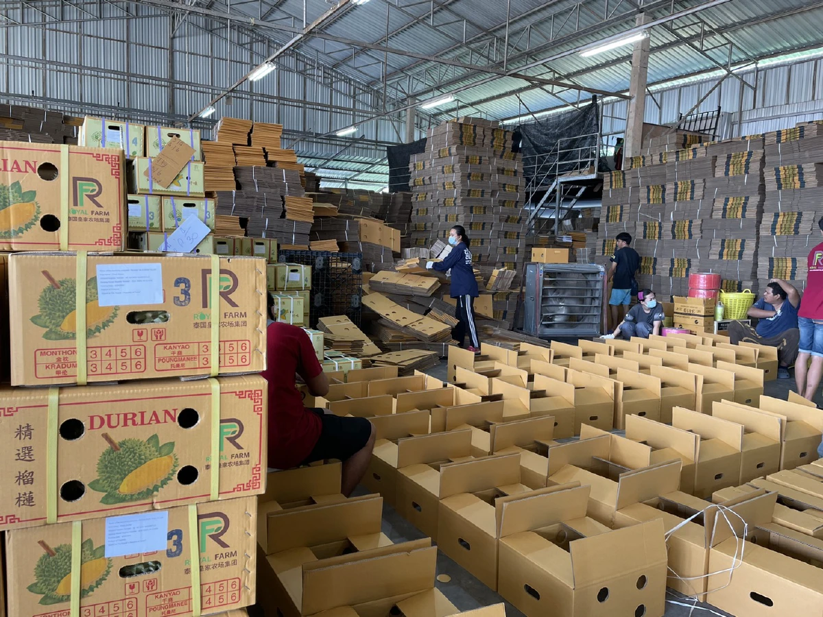 เกษตรฯปลื้มชาวซีอานแห่ซื้อทุเรียนไทย25ตันหมดใน45นาที