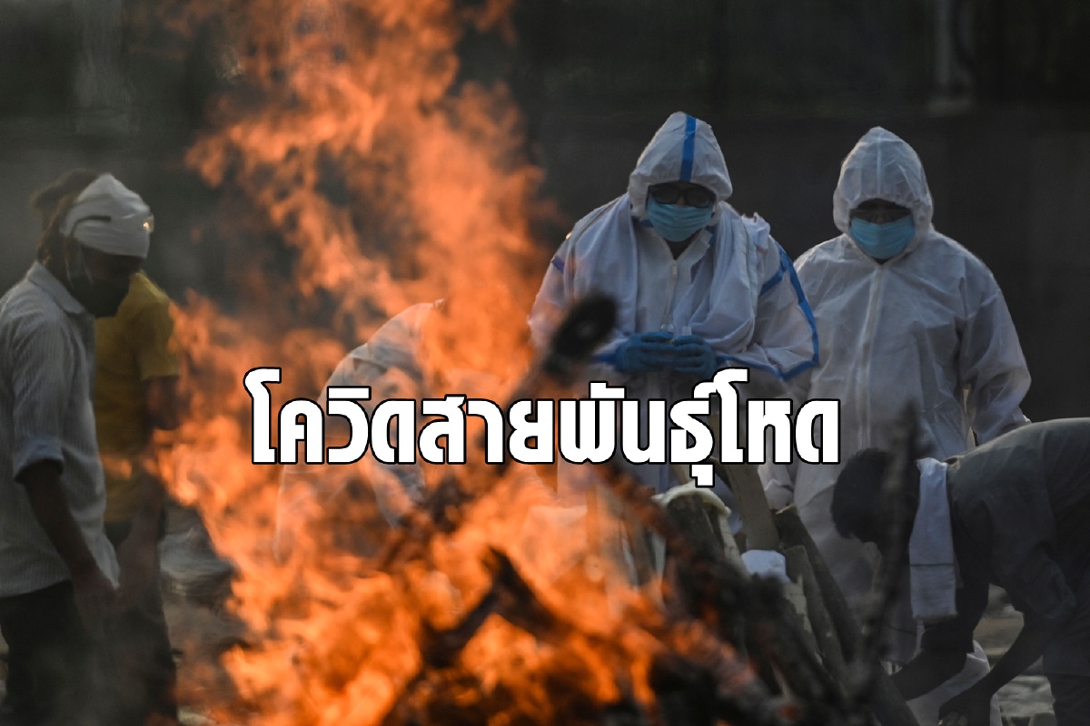ความน่ากลัวของ "กลายพันธุ์สามต่อ" โควิดจากอินเดียลามแล้ว 44 ชาติทั่วโลก ความน่ากลัวของ "กลายพันธุ์สามต่อ" โควิดจากอินเดียลามแล้ว 44 ชาติทั่วโลก