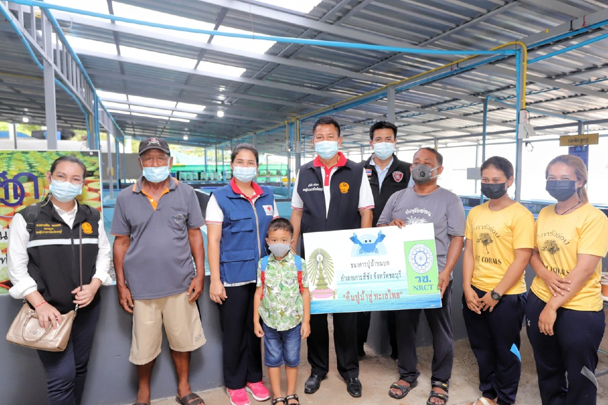 ชลบุรีปั้นเศรษฐกิจชุมชนชูโมเดลธนาคารปูม้า-ฝังชิพปะการังอ่อนเกาะสีชัง