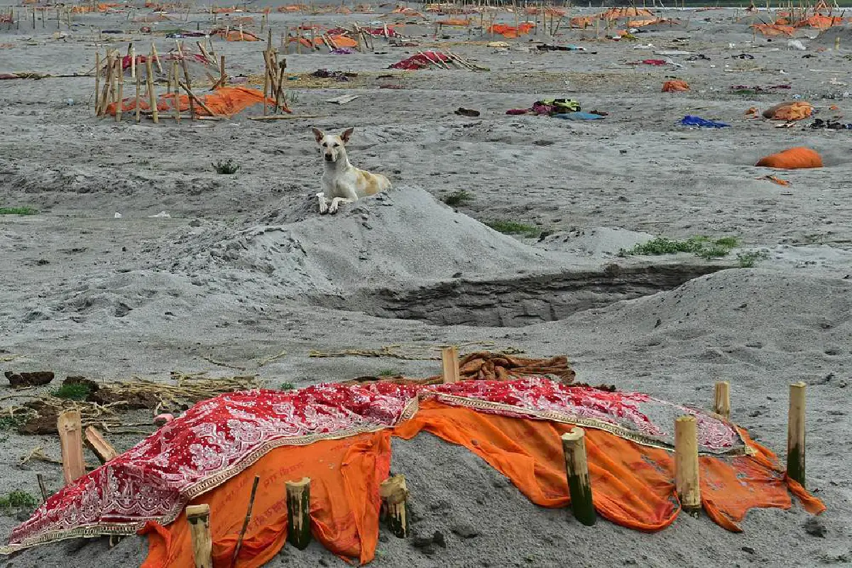 ศพเหยื่อโควิดถูกฝนชะโผล่เกลื่อนฝั่งแม่น้ำคงคา (ภาพชุด)