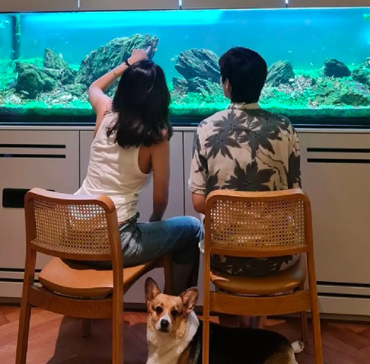 “หมอเจี๊ยบ ลลนา” บ้านสวยน่าอยู่มาก แถมมีบันไดเพื่อขึ้นเตียงสำหรับสุนัขด้วย