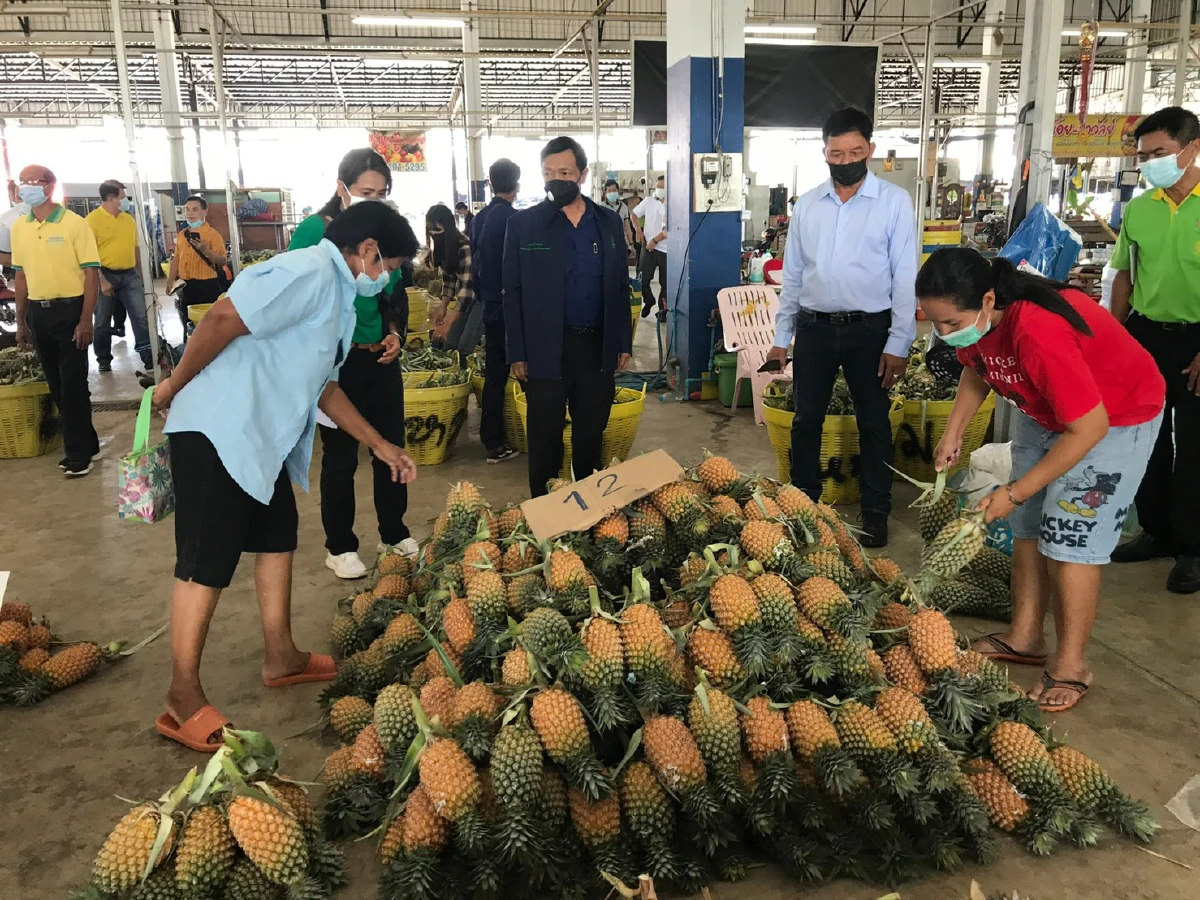 เร่งขายสินค้าเกษตรผ่านแพลตฟอร์มออนไลน์ช่วยเกษตรกรเพชรบุรี