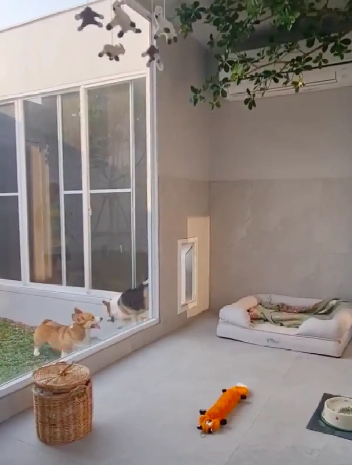 “หมอเจี๊ยบ ลลนา” บ้านสวยน่าอยู่มาก แถมมีบันไดเพื่อขึ้นเตียงสำหรับสุนัขด้วย