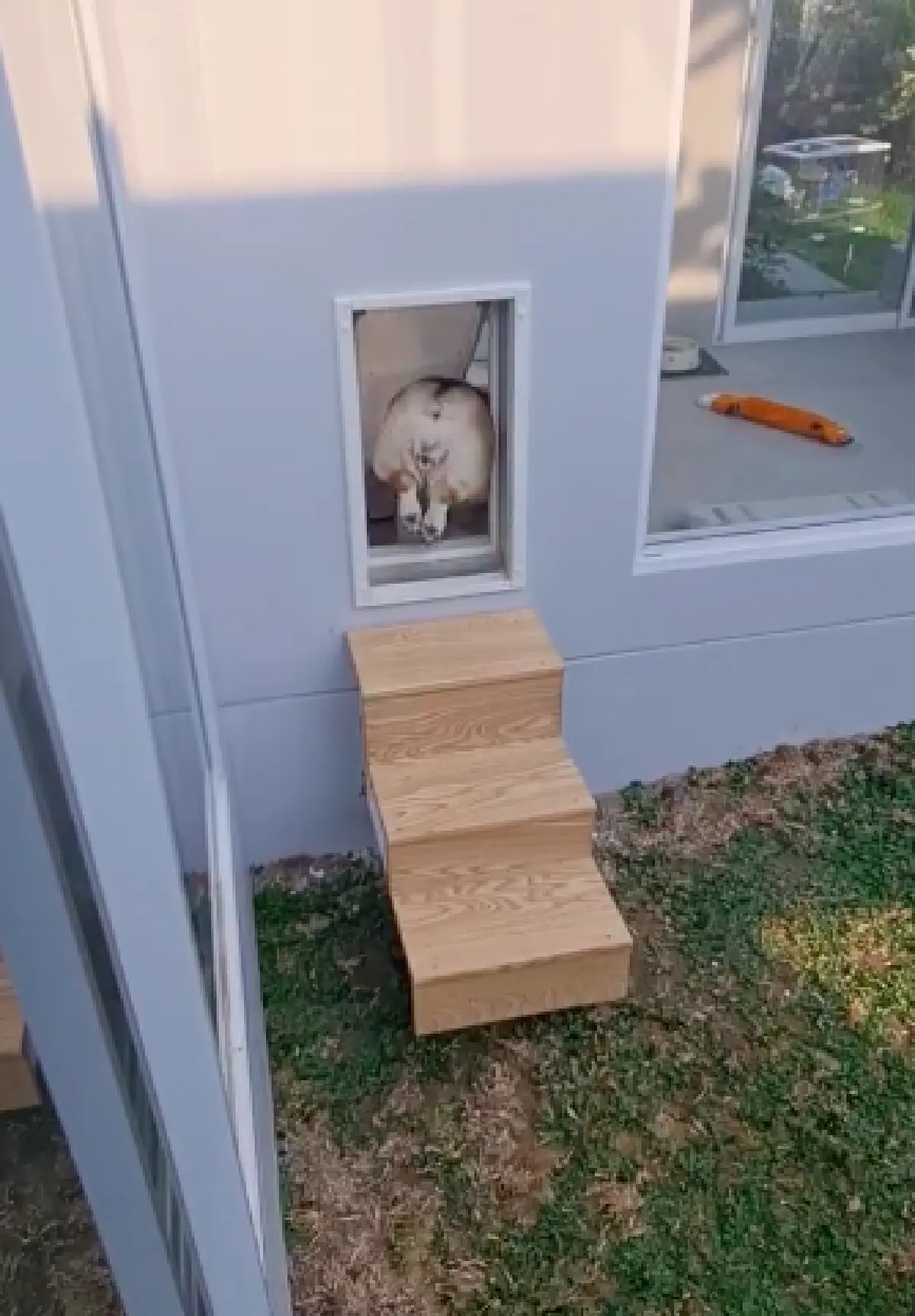 “หมอเจี๊ยบ ลลนา” บ้านสวยน่าอยู่มาก แถมมีบันไดเพื่อขึ้นเตียงสำหรับสุนัขด้วย