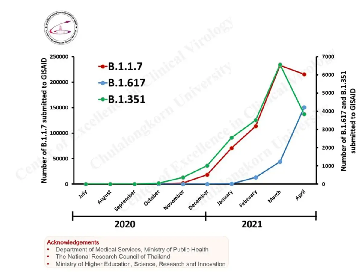 เทียบโควิด3สายพันธุ์ พบ "สายพันธุ์อินเดีย"มีโอกาสระบาดแซงหน้า