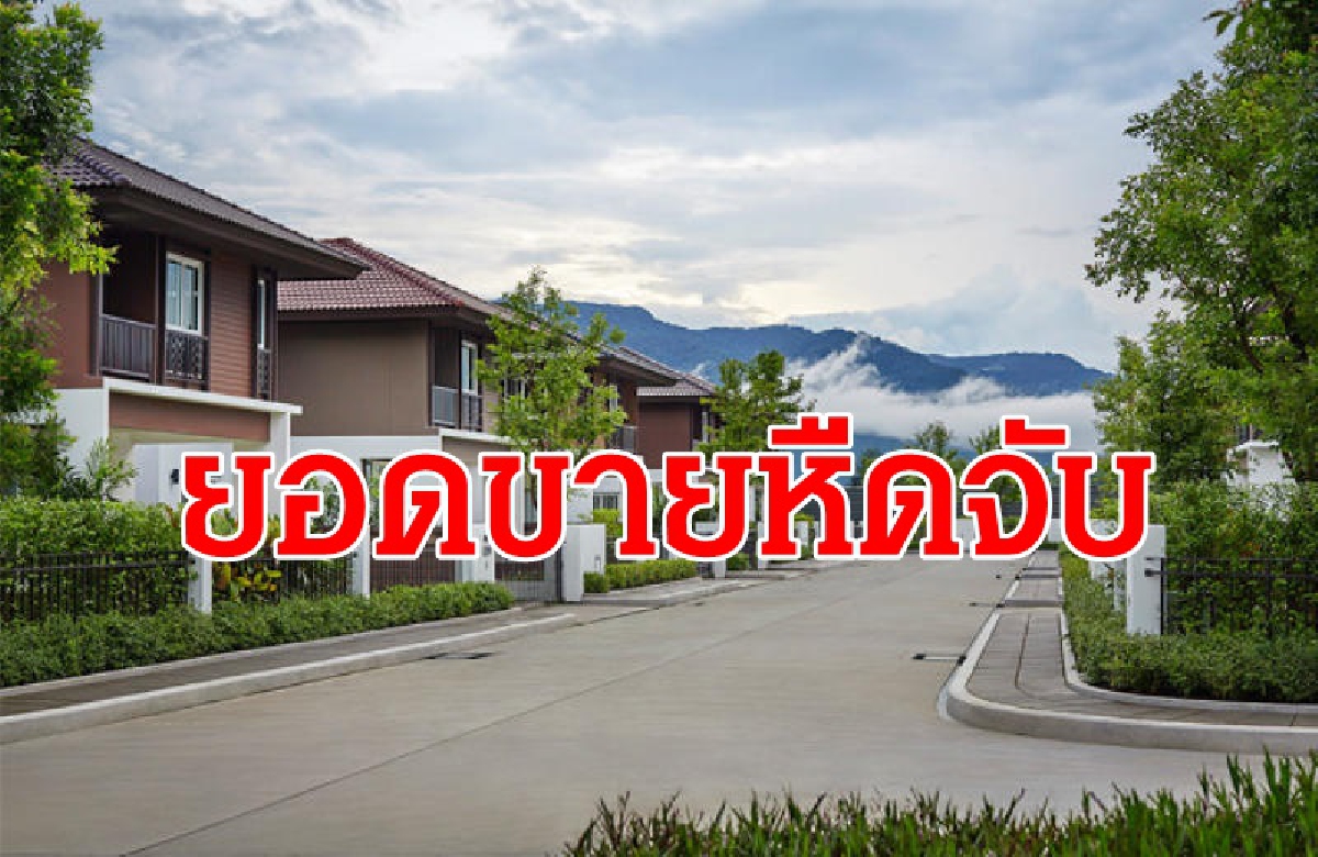 ตลาดที่อยู่อาศัยภาคเหนือหืดจับ ยอดขายหดตัว20% ตลาดที่อยู่อาศัยภาคเหนือหืดจับ ยอดขายหดตัว20%