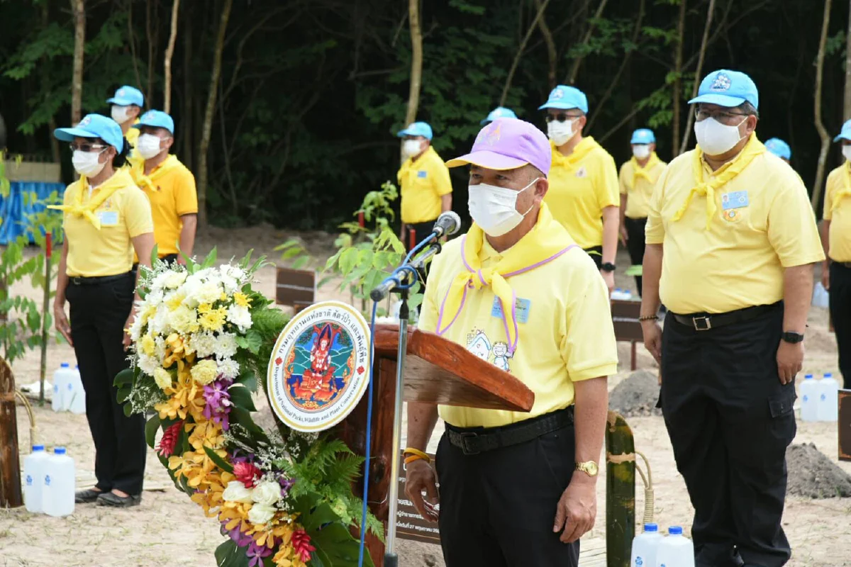 กรมอุทยานแห่งชาติฯ ร่วมกับ จ.สระบุรี และซีพี-เมจิ ฟื้นฟูป่าต้นน้ำ จังหวัดสระบุรี