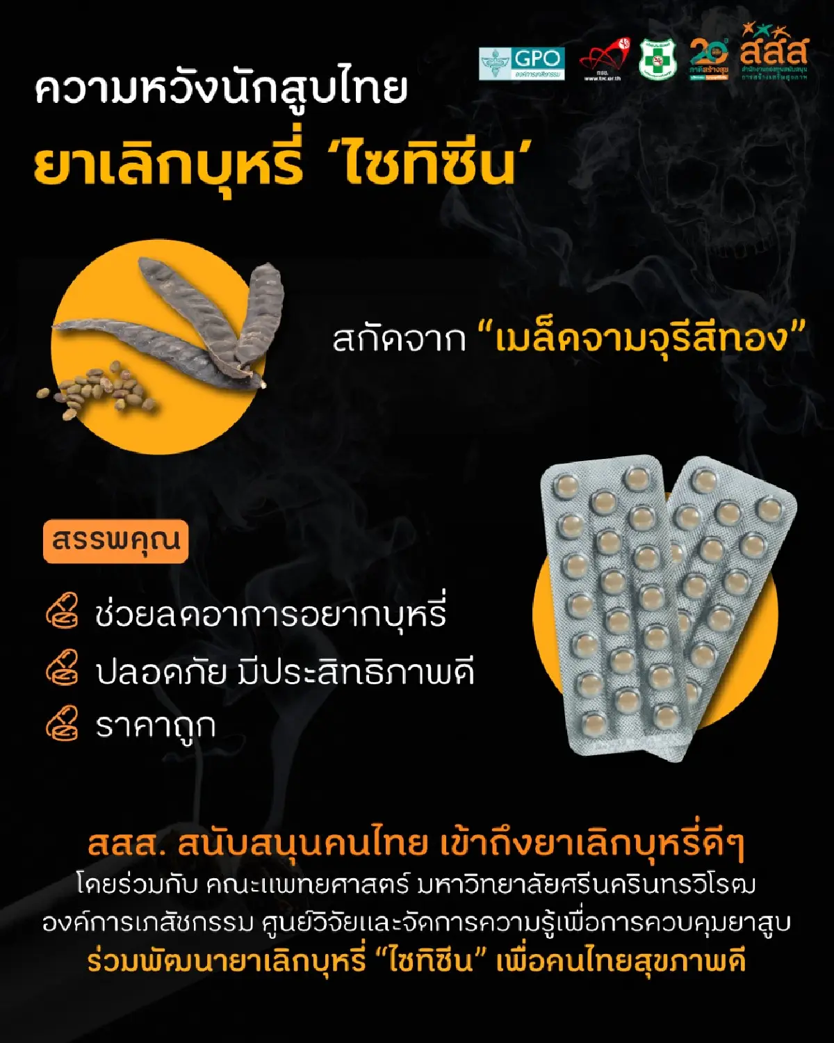 ไทยผลิตยาเลิกบุหรี่สำเร็จครั้งแรกทำจากสมุนไพร"จามจุรีสีทอง"