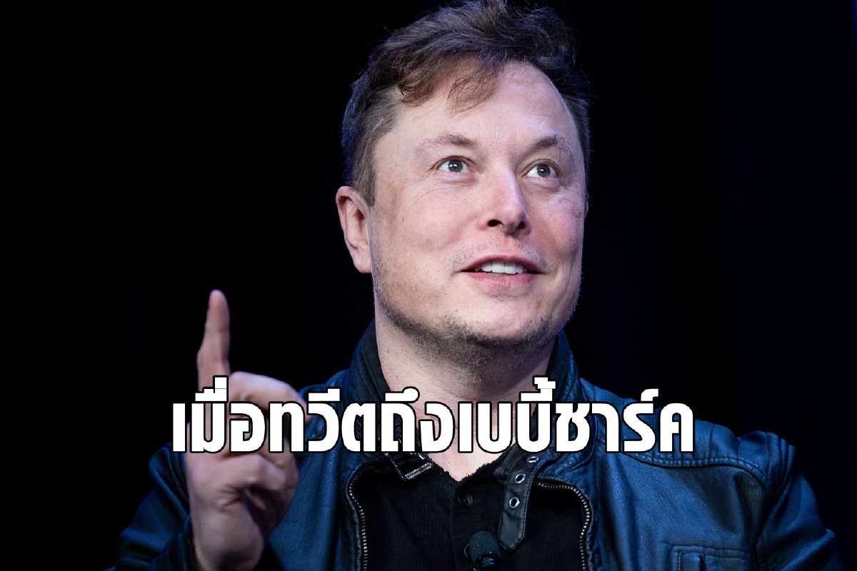Elon Musk ทวีตปั่นอีกแล้ว ดันหุ้นเจ้าของเพลง Baby Shark Elon Musk ทวีตปั่นอีกแล้ว ดันหุ้นเจ้าของเพลง Baby Shark