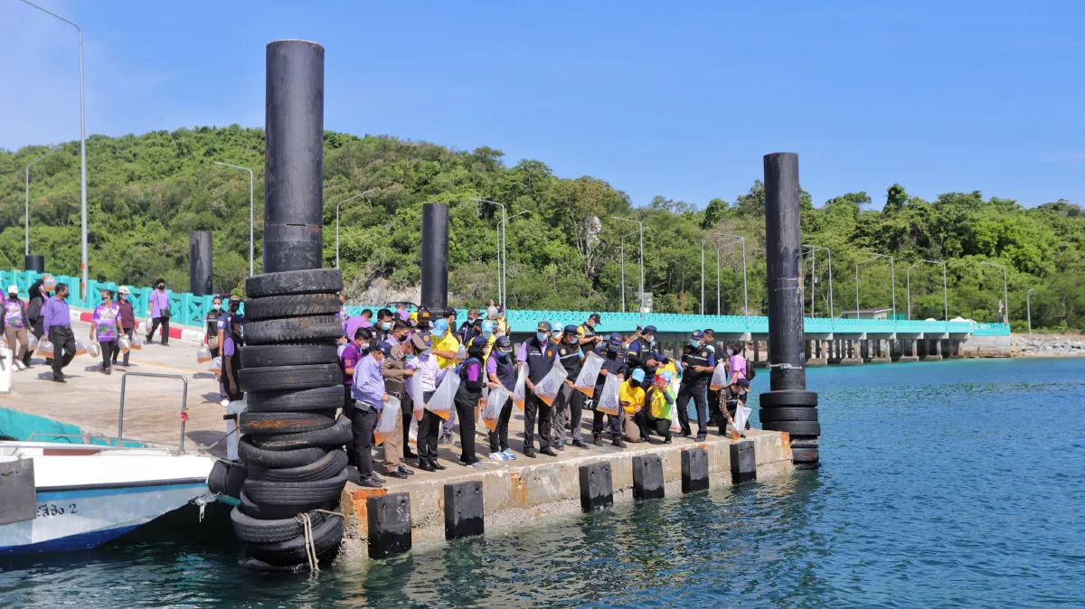 เมืองชลปล่อยพันธุ์สัตว์น้ำ5แสนตัวเนื่องในวันเฉลิมพระชนมพรรษา"พระราชินี"