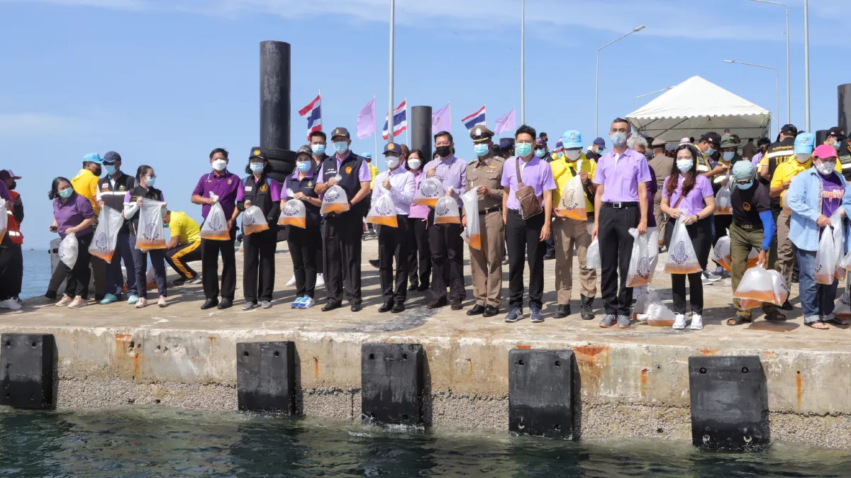 เมืองชลปล่อยพันธุ์สัตว์น้ำ5แสนตัวเนื่องในวันเฉลิมพระชนมพรรษา"พระราชินี"