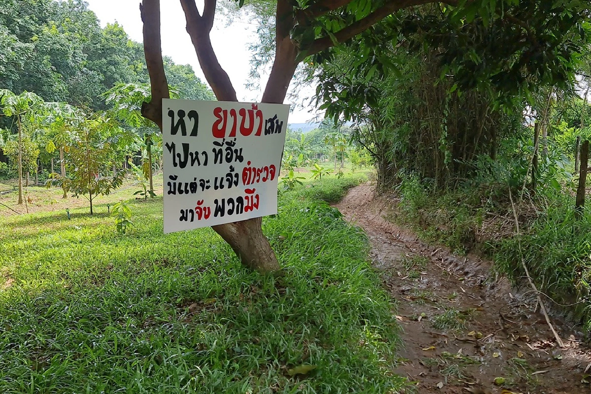 หนุ่มสวนยางขึ้นป้ายบอกทางคนขายยาบ้า ผู้การตำรวจพิษณุโลกสั่งเร่งกวาดล้าง