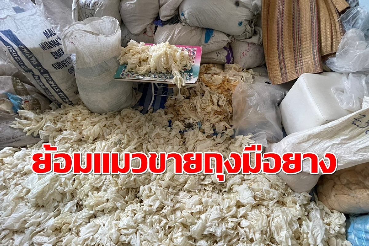 ปคบ.เร่งขยายผลเอาผิดหนุ่มแสบย้อมแมวขายถุงมือยางใช้แล้ว