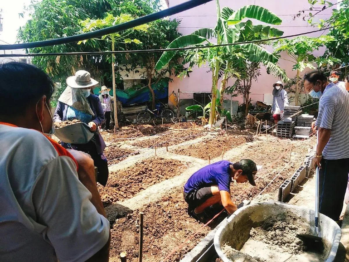 นำร่องปรับพื้นที่ 6 จังหวัด 30 ชุมชนเป็นสวนผักคนเมืองช่วงโควิด 