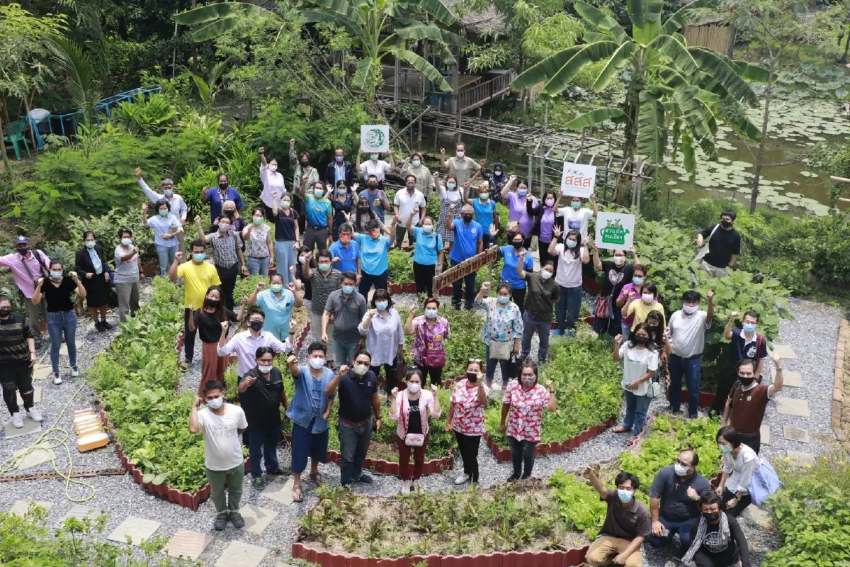 นำร่องปรับพื้นที่ 6 จังหวัด 30 ชุมชนเป็นสวนผักคนเมืองช่วงโควิด 
