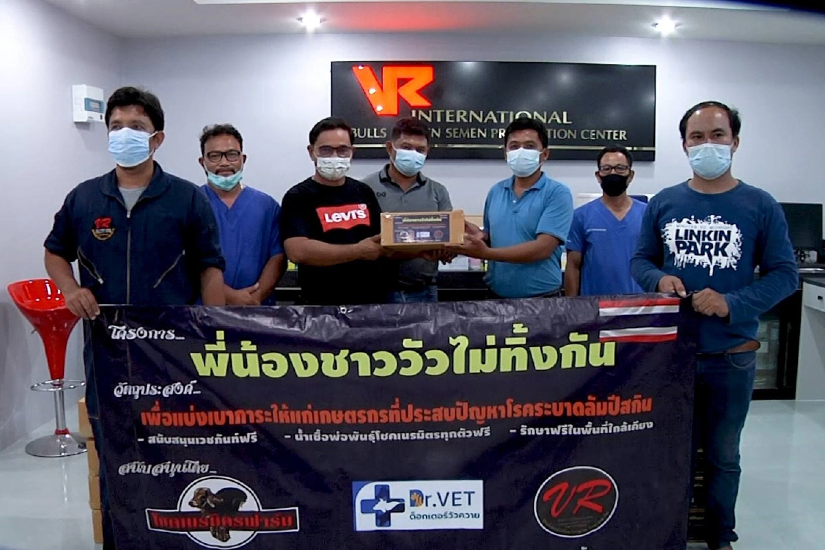 ซับน้ำตาโรคลัมปีสกิน เจ้าของฟาร์มใจดีแจกน้ำเชื้อวัวพันธุ์ฟรี