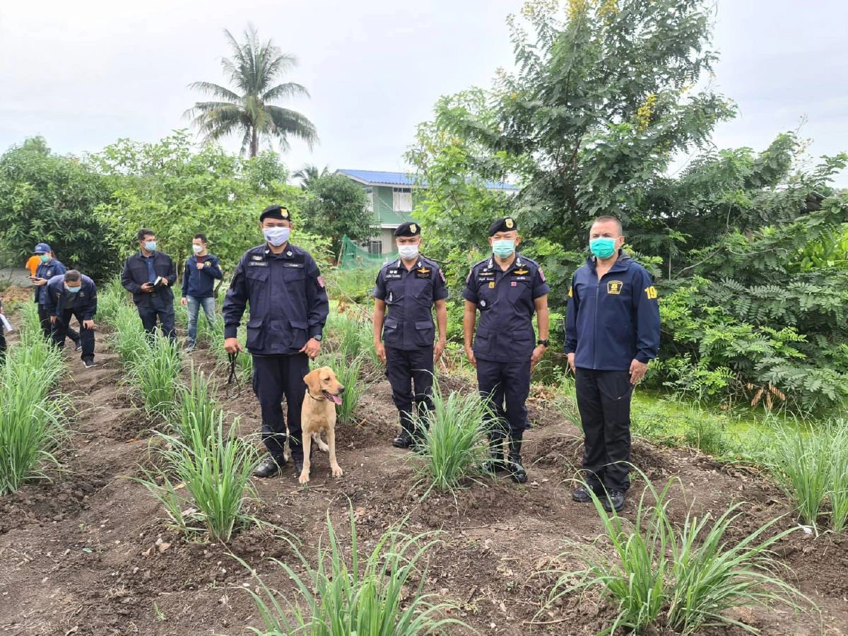 จับเครือข่าย"อ้วน เซียนตึ๊ง"ยึดยาบ้ากว่า2ล้านเม็ดในฟาร์มไก่ชน
