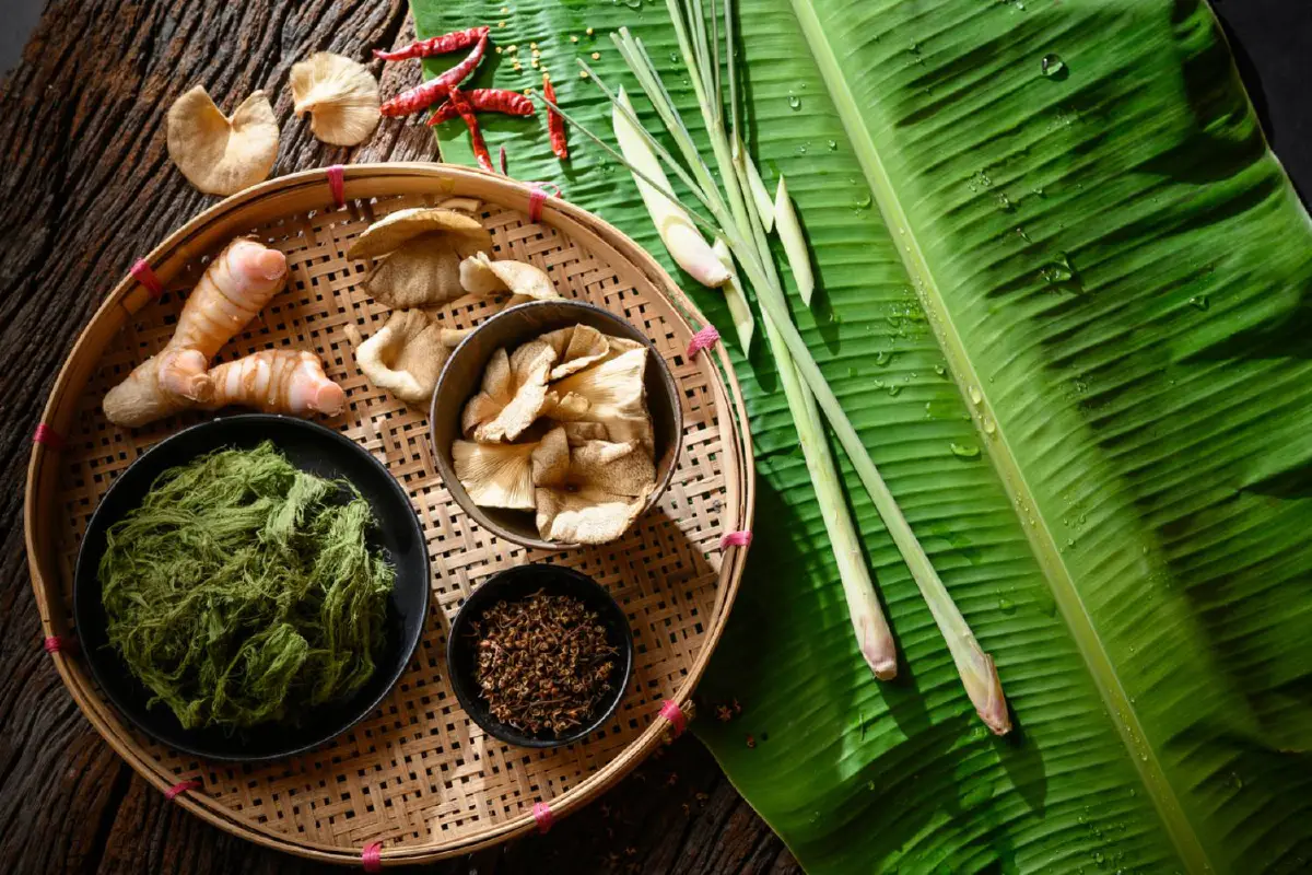 'เที่ยวไทยถึงรส' เปิดประสบการณ์เที่ยวไทยมุมมองใหม่ผ่านวัตถุดิบท้องถิ่น