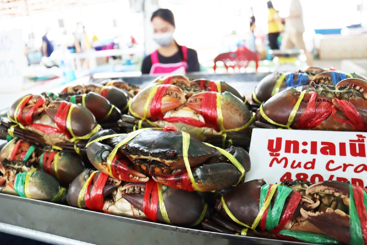 ตลาดประมงอ่างศิลา คึกคักขาช้อป-นักท่องเที่ยวแน่น ตลาดประมงอ่างศิลา คึกคักขาช้อป-นักท่องเที่ยวแน่น