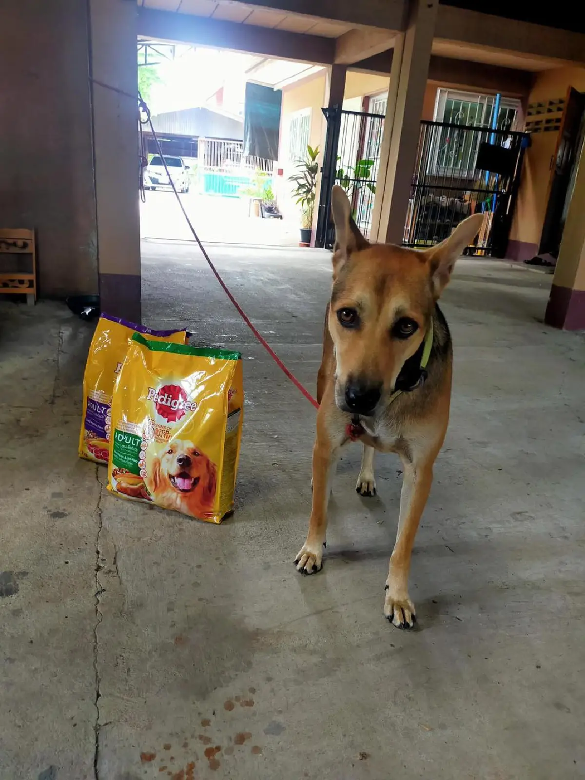 “ดิว-เซบาสเตียน” เดินทางไปขอโทษชาวบ้านด้วยตนเอง สุดท้ายเข้าใจกันด้วยดี