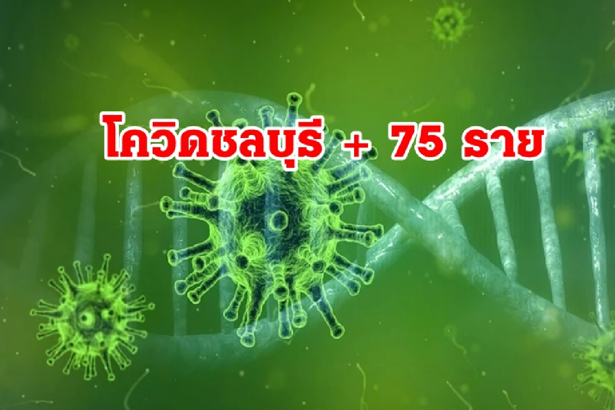 ชลบุรีอัพเดตอีก 12 จุดสถานที่เสี่ยงโควิด ล่าสุดป่วยเพิ่ม 75 ราย ชลบุรีอัพเดตอีก 12 จุดสถานที่เสี่ยงโควิด ล่าสุดป่วยเพิ่ม 75 ราย