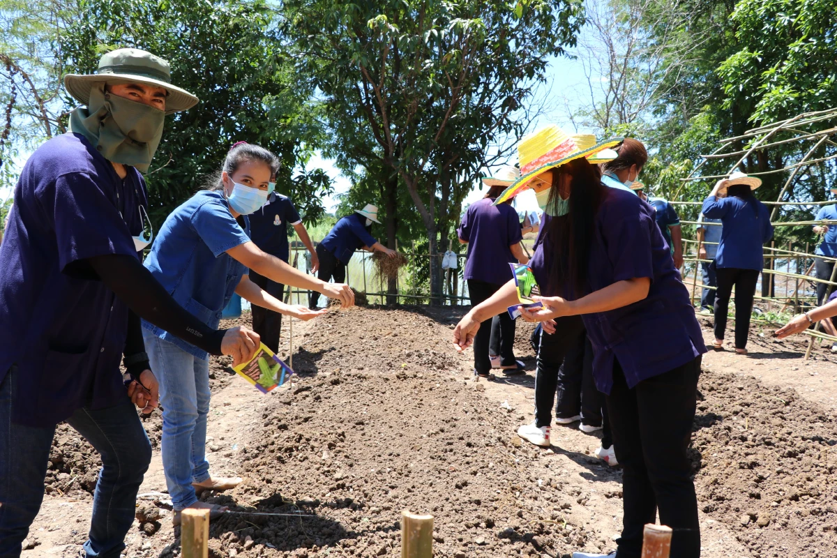 ชวนชาวบ้านปลูกผักสวนครัวสร้างความมั่นคงทางอาหาร
