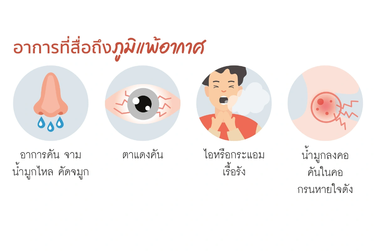 'ฝุ่น' มองไม่เห็นด้วยตา ใช่ว่าจะไม่มี แพทย์ชวนทำความรู้จักกับฝุ่นละออง โรคภูมิแพ้ และวิธีรับมือ