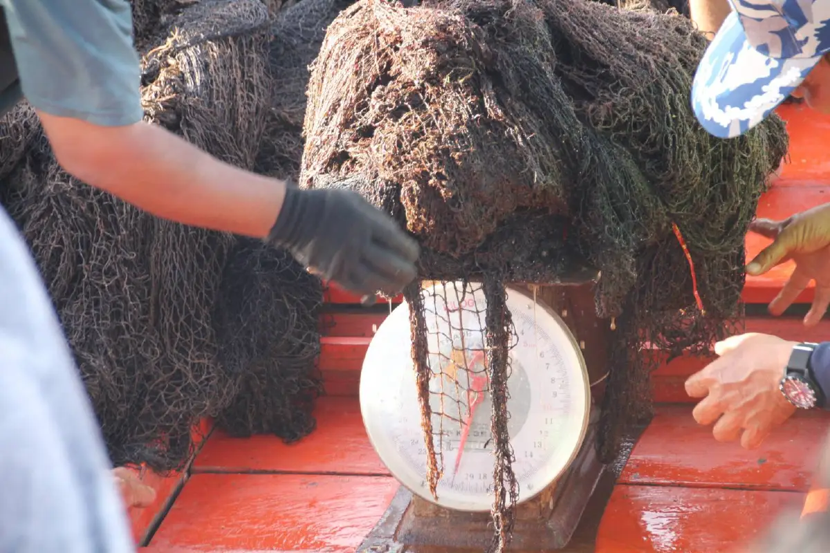 ทร.กู้อวนทำลายปะการังเร่งคืนความสมบูรณ์ใต้ทะเลเกาะโลซิน