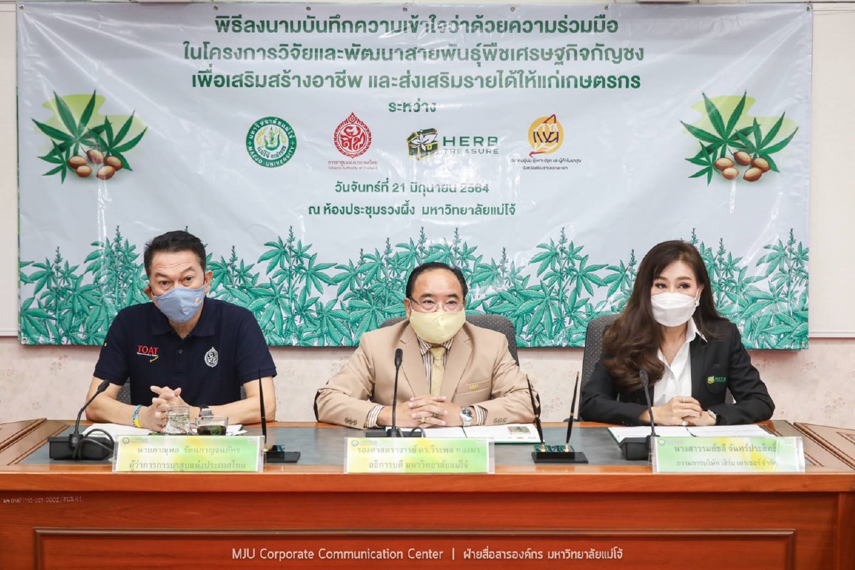 ยาสูบ จับมือบริษัท เฮิร์บ ส่งเสริมเกษตรกรปลูกกัญชง ยาสูบ จับมือบริษัท เฮิร์บ ส่งเสริมเกษตรกรปลูกกัญชง
