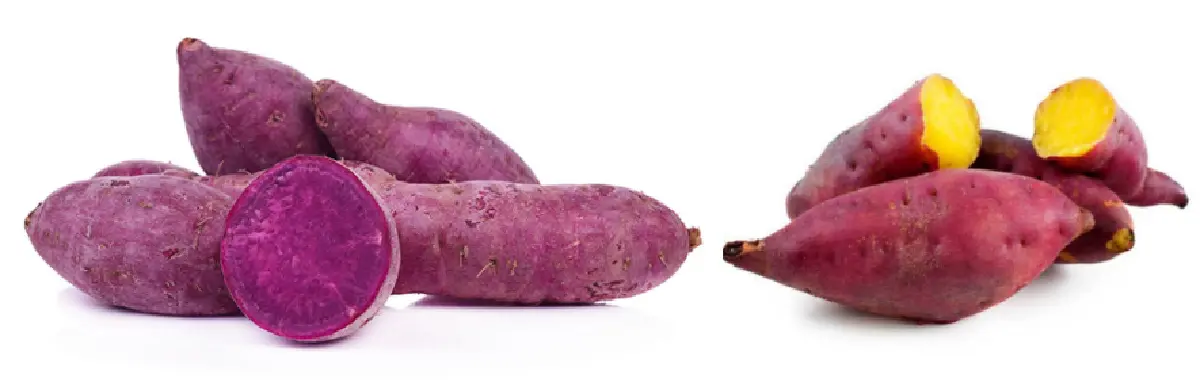 บุกเซ็นทรัลฯ อุดร พาชิม-ช้อปสินค้าจากเวียดนาม ในงาน “Vietnamese Goods Week - Udon Thani 2021”