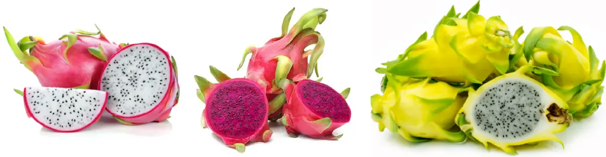 บุกเซ็นทรัลฯ อุดร พาชิม-ช้อปสินค้าจากเวียดนาม ในงาน “Vietnamese Goods Week - Udon Thani 2021”