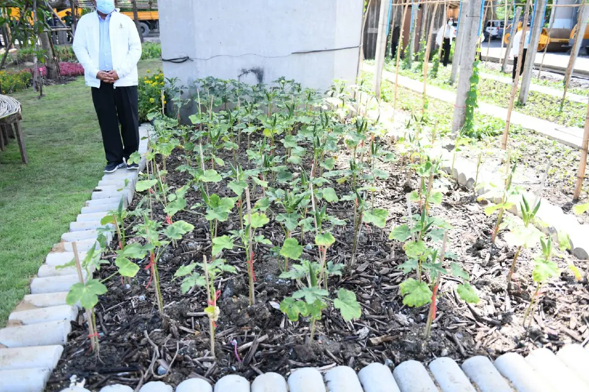 โคกหนองนาลาดกระบังศูนย์เรียนรู้เกษตรทฤษฎีใหม่คืบหน้ากว่า95% 