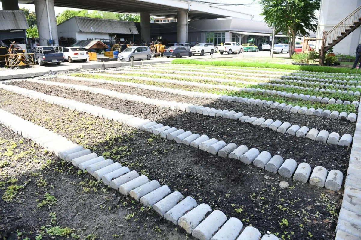 โคกหนองนาลาดกระบังศูนย์เรียนรู้เกษตรทฤษฎีใหม่คืบหน้ากว่า95% 