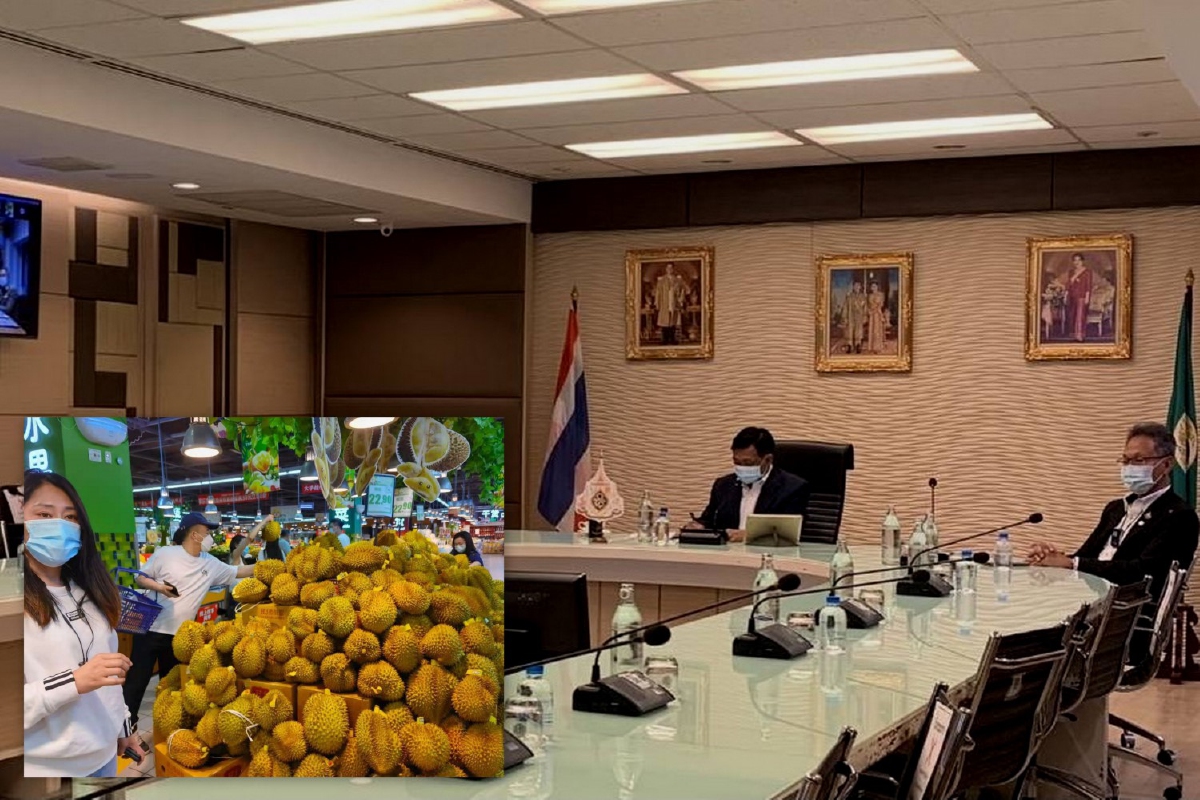 จีนมั่นใจไทยแก้ปัญหาสวมสิทธิ์ทุเรียนจันทบุรี จีนมั่นใจไทยแก้ปัญหาสวมสิทธิ์ทุเรียนจันทบุรี