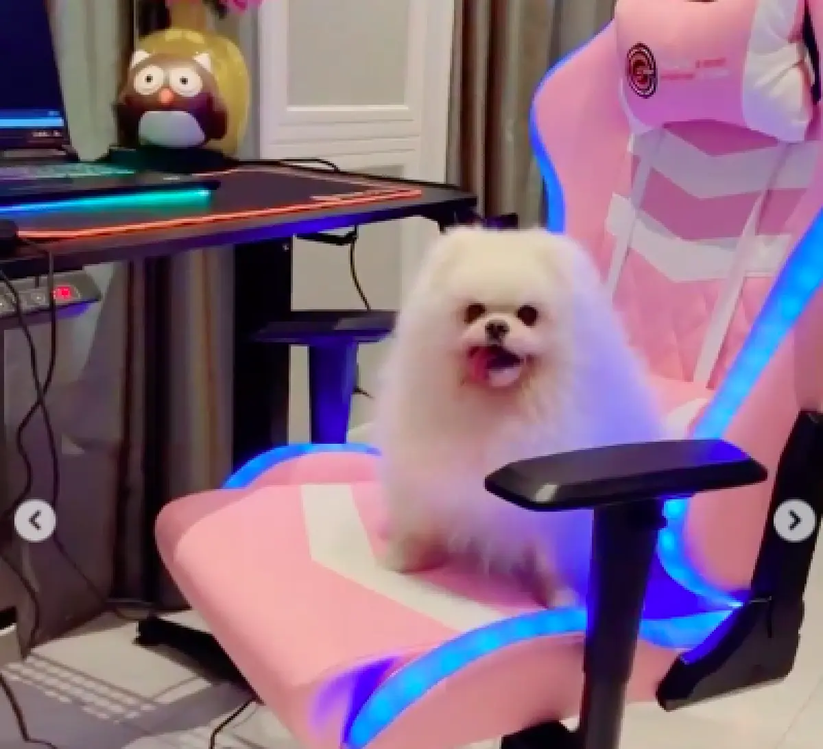 "อั้ม พัชราภา" ไม่เสียชื่อเกมเมอร์ตัวแม่! โต๊ะ-เก้าอี้เล่นเกม จัดเต็มชุดใหญ่ไฟกระพริบ