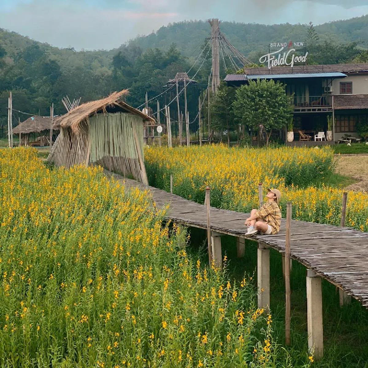 พิษโควิด-19 “นิว-เป๊ก” สุดเศร้า! ประกาศปิดกิจการ แบรนด์นิว ฟีลด์ กู๊ด  