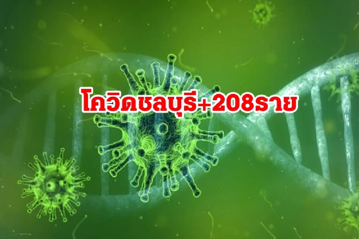 ชลบุรีน่าห่วง! ป่วยโควิดวันเดียวพุ่ง 208 รายดับอีก 1 พบติดเชื้อในครอบครัวถึง 64 คน ชลบุรีน่าห่วง! ป่วยโควิดวันเดียวพุ่ง 208 รายดับอีก 1 พบติดเชื้อในครอบครัวถึง 64 คน