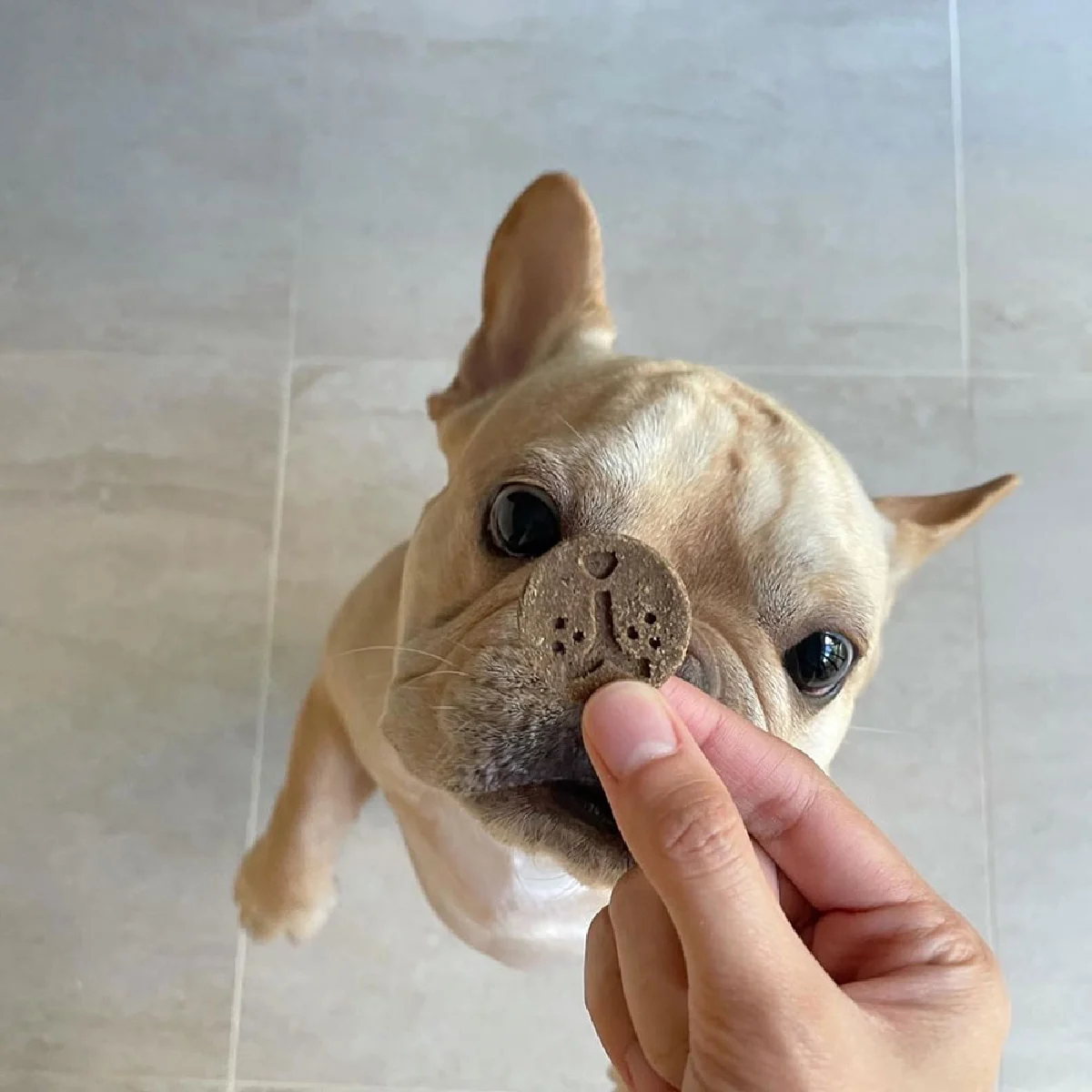 Laika อาหารหมารักษ์โลก