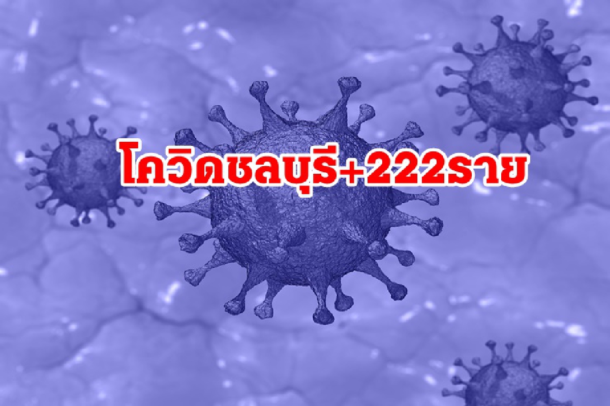 "ชลบุรี"อัพเดต11สถานที่เสี่ยงโควิด เผยยอดติดเชื้อรายวันอีก 222 ราย "ชลบุรี"อัพเดต11สถานที่เสี่ยงโควิด เผยยอดติดเชื้อรายวันอีก 222 ราย