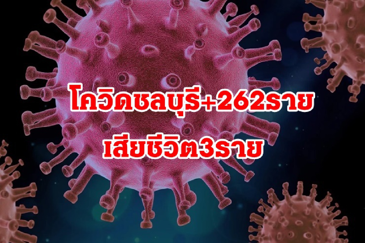 ยอดชลบุรีไม่แผ่ว! ติดเชื้อ 262 มีบุคลากรทางการแพทย์ 5 ราย ดับอีก 3 ราย ยอดชลบุรีไม่แผ่ว! ติดเชื้อ 262 มีบุคลากรทางการแพทย์ 5 ราย ดับอีก 3 ราย