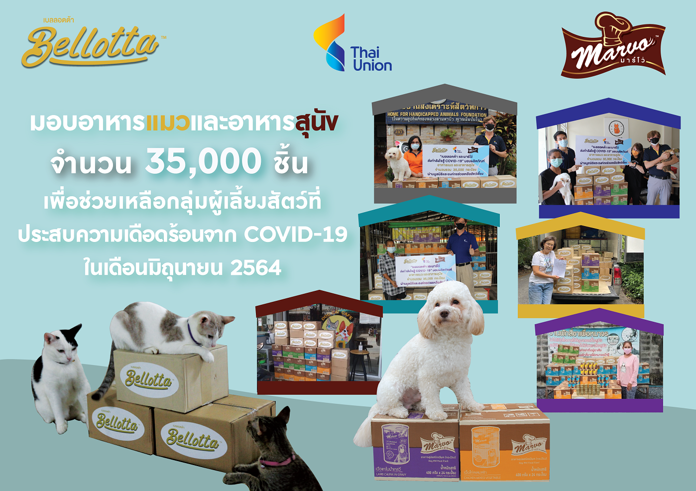 ไทยยูเนี่ยน บริจาคอาหารแมวเบลล็อตต้า และอาหารสุนัขมาร์โว่ กว่า 35,000
